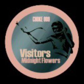 Visitors - midnight flowers