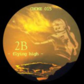 2B - flying high
